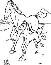 Otroške pobarvanke 5