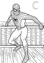 Spiderman pobarvanke 6