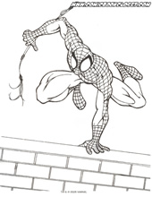 Spiderman pobarvanke 5