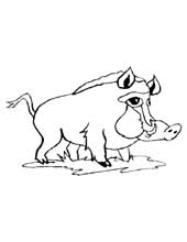 Pobarvanke živali divji prašič